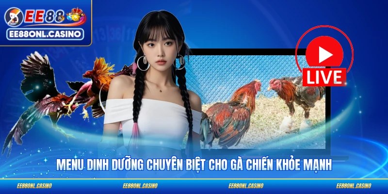 Menu dinh dưỡng chuyên biệt cho gà chiến khỏe mạnh