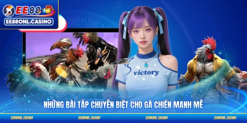 Những bài tập chuyên biệt cho gà chiến mạnh mẽ