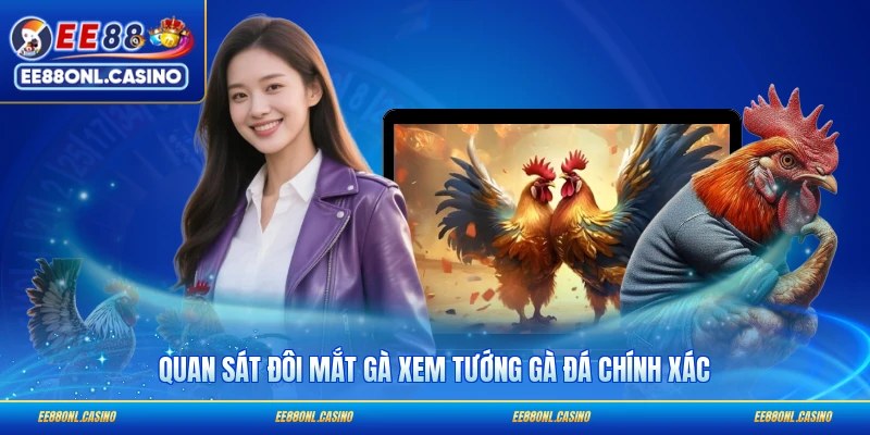 Quan sát đôi mắt gà xem tướng gà đá chính xác